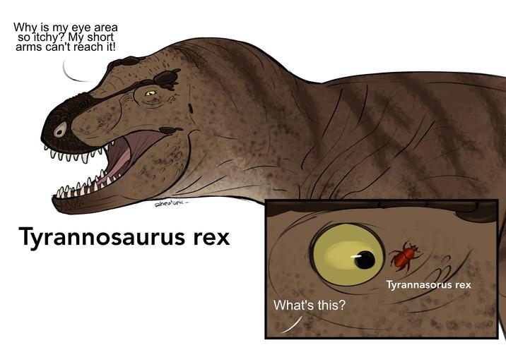 Why is my eye area so itchy? My short arms can't reach it! 0000000 aheatonic Tyrannosaurus rex O What's this? Tyrannasorus rex