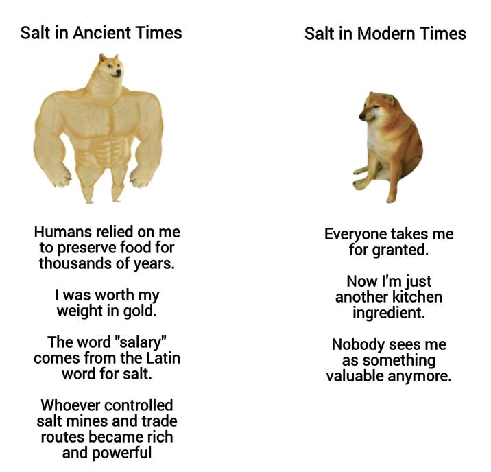 Salt in Ancient Times Salt in Modern Times Humans relied on me to preserve food for thousands of years. I was worth my weight in gold. The word "salary" comes from the Latin word for salt. Whoever controlled salt mines and trade routes became rich and powerful Everyone takes me for granted. Now I'm just another kitchen ingredient. Nobody sees me as something valuable anymore.