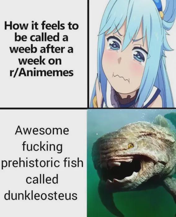 How it feels to be called a weeb after a week on r/Animemes Awesome f------ prehistoric fish called dunkleosteus