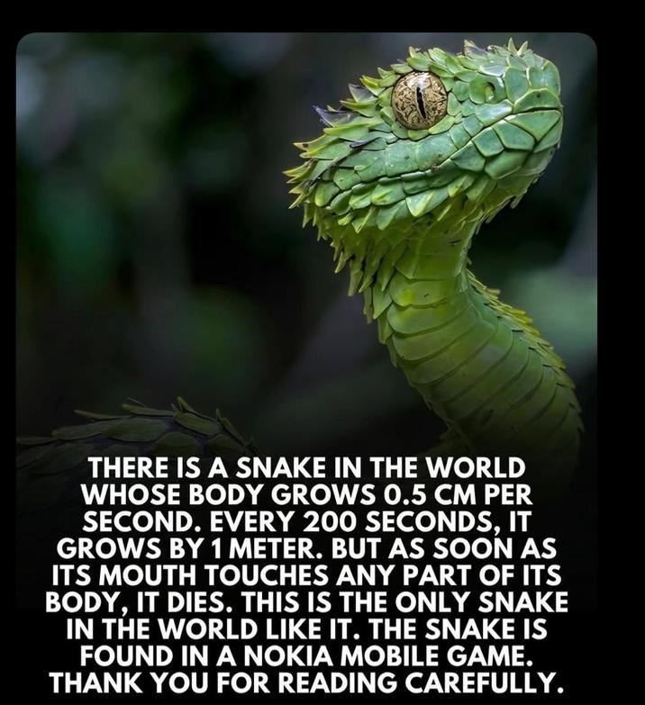 THERE IS A SNAKE IN THE WORLD WHOSE BODY GROWS 0.5 CM PER SECOND. EVERY 200 SECONDS, IT GROWS BY 1 METER. BUT AS SOON AS ITS MOUTH TOUCHES ANY PART OF ITS BODY, IT DIES. THIS IS THE ONLY SNAKE IN THE WORLD LIKE IT. THE SNAKE IS FOUND IN A NOKIA MOBILE GAME. THANK YOU FOR READING CAREFULLY.