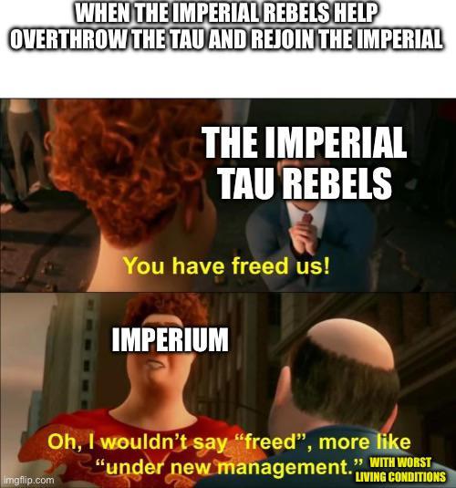 WHEN THE IMPERIAL REBELS HELP OVERTHROW THE TAU AND REJOIN THE IMPERIAL THE IMPERIAL TAU REBELS You have freed us! IMPERIUM Oh, I wouldn't say "freed", more like "under new management." WITH WORST imgflip.com LIVING CONDITIONS
