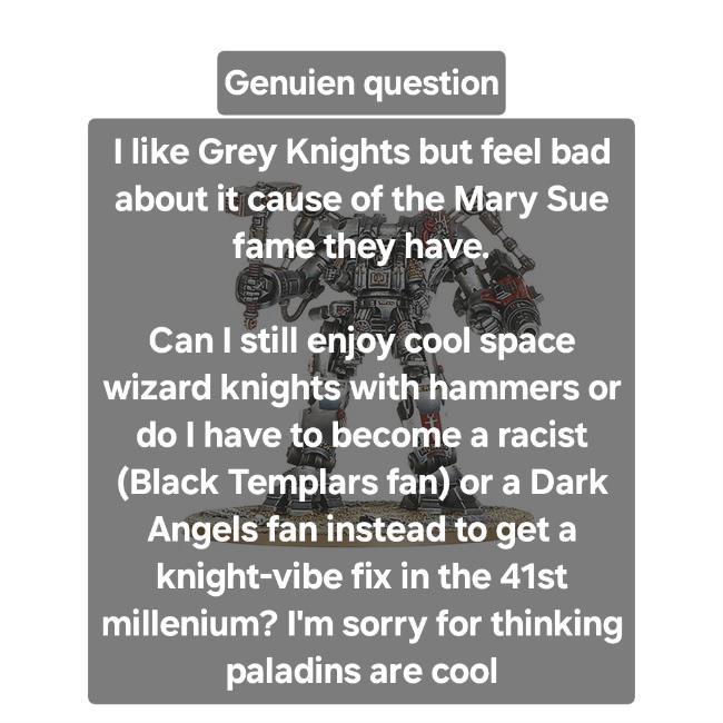 Genuien question I like Grey Knights but feel bad about it cause of the Mary Sue fame they have. Can I still enjoy cool space wizard knights with hammers or do I have to become a racist (Black Templars fan) or a Dark Angels fan instead to get a knight-vibe fix in the 41st millenium? I'm sorry for thinking paladins are cool