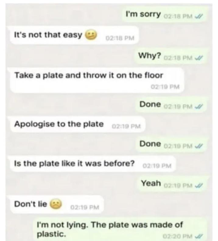 I'm sorry 02:18 PM It's not that easy 02:18 PM Why? 02:18 PM Take a plate and throw it on the floor Apologise to the plate 02:19 PM 02:19 PM Done 02:19 PM Done 02:10 PM Is the plate like it was before? 02:19 PM Don't lie 02:19 PM Yeah 02:19 PM I'm not lying. The plate was made of plastic. 02:20 PM