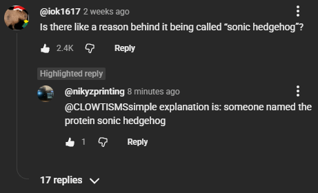 @iok1617 2 weeks ago Is there like a reason behind it being called "sonic hedgehog"? 2.4K Reply Highlighted reply @nikyzprinting 8 minutes ago @CLOWTISMSsimple explanation is: someone named the protein sonic hedgehog 1Q Reply 17 replies ▼