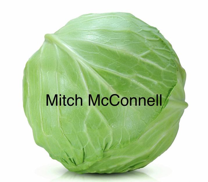 Mitch McConnell