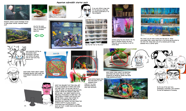 Originally joined to aquire knowledge of how to make proper fishtank. Genuinely helpful stuff. stay for the really cool fish and different types of incredible aquariums Aquarium subreddit starter pack users absolutely s------- on and probably death threatening a child who cant afford a 55 gallon tank for their beta they saved up for TOP FON UNDERWATER WORLDS. AQUARIUIM GRAVEL DONT EVEN THINK ABOUT USING RAINBOW GRAVEL HOW DARE YOU HAVE BRIGHT COLORS IN YOUR TANK TOP FON if you cant afford a huge tank for this beta/any other fish you HAVE TO RETURN IT TO THE STORE!!!!!!! How the fish "live" at the store 50% OFF somehow giving the beta literally 10x the space is somehow literally the worst thing ever and you should go to jail for animal abuse The "store" you are told to return the fish back to. Often overcrowded tanks, several dead fish at the bottom getting eaten by the other fish. Being taken care of by someone paid min.wage. Somehow this is a better option DONT YOU REALIZE THAT FISH WILL GET TO BE 10 INCHES IN 5 YEARS HOW DARE YOU KEEP THIS (.75 inch baby fish) IN A TANK SO SMALL (10 gallons planted tank) ITS ANIMAL ABUSE YOU SWINE I HOPE YOU ROT IN HELL. YOU ARENT WORTHY BY MY PERSONAL STANDARDS TO KEEP FISH. YOU ARE LITERALLY WORSE THAN SATAN YOU BETTER FIND A LOCAL FISH STORE TO RETURN IT TO BECAUSE YOU ARE A MONSTER FOR TAKING THE FISH FROM THE STORE'S S----- (2 gallon all plastic overstocked tank) AND GIVING IT A TANK SUCH AS THAT. I HOPE YOUR WATER NEVER CYCLES IDIOT Same bullying happens when have fake plants or ANY spongebob decor THINK OF The Paint leeCHING cheMicAls iNto Your WATer!!!!! DONT EVEN THINK ABOUT 3D PRINTING ANYTHING FOR YOUR TANK BC IT WILL DISSOLVE IN 98789736 YEARS AND GIVE THEM MICROPLASTICS!!!!!! By far one of the most toxic, gatekeeping, hiveminded, echo chambers ive had the displeasure of browsing.