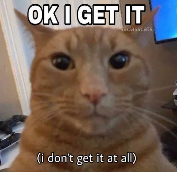 OK I GET IT sadasscats (i don't get it at all)