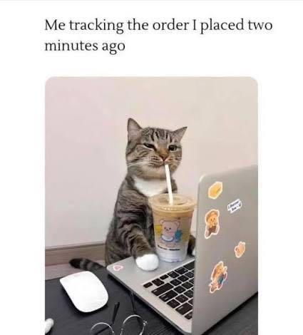 Me tracking the order I placed two minutes ago