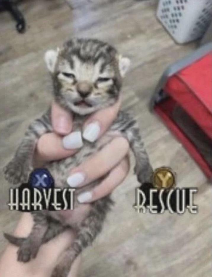 HARVEST RESCUE