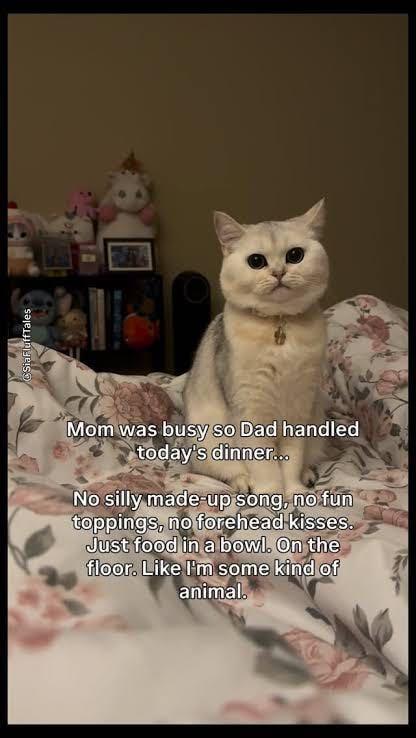 SiaFluff Tales Mom was busy so Dad handled today's dinner... No silly made-up song, no fun toppings, no forehead kisses. Just food in a bowl. On the floor. Like I'm some kind of animal.