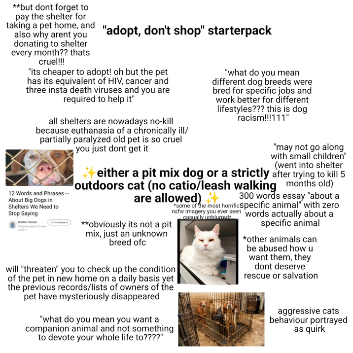 **but dont forget to pay the shelter for taking a pet home, and also why arent you donating to shelter every month?? thats cruel!!! "adopt, don't shop" starterpack "its cheaper to adopt! oh but the pet has its equivalent of HIV, cancer and three insta death viruses and you are required to help it" all shelters are nowadays no-kill because euthanasia of a chronically ill/ partially paralyzed old pet is so cruel you just dont get it 12 Words and Phrases... About Big Dogs in Shelters We Need to Stop Saying Kristen Hassen Опубликовано 23 мая 2024. + Отслеживать "what do you mean different dog breeds were bred for specific jobs and work better for different lifestyles??? this is dog racism!!!111" "may not go along with small children" (went into shelter either a pit mix dog or a strictly after trying to kill 5 outdoors cat (no catio/leash are allowed) **obviously its not a pit mix, just an unknown breed ofc walking months old) 300 words essay "about a *some of the most horrific specific animal" with zero nsfw imagery you ever seen words actually about a will "threaten" you to check up the condition of the pet in new home on a daily basis yet the previous records/lists of owners of the pet have mysteriously disappeared "what do you mean you want a companion animal and not something to devote your whole life to????" casually unblurred* specific animal *other animals can be abused how u want them, they dont deserve rescue or salvation aggressive cats behaviour portrayed as quirk