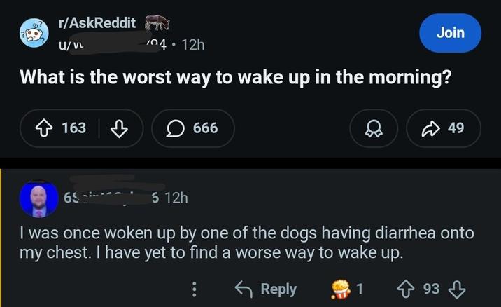 دو r/AskReddit U/vv 704.12h Join What is the worst way to wake up in the morning? ✩ 163 ♡ ☐ 666 49 6$ 6 12h I was once woken up by one of the dogs having diarrhea onto my chest. I have yet to find a worse way to wake up. ← Reply 1 93
