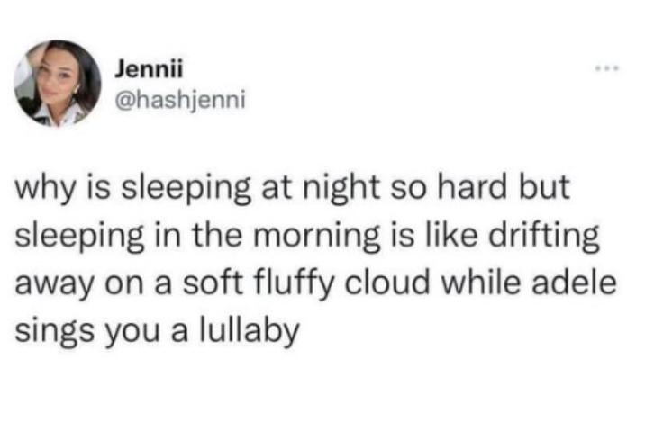 Jennii @hashjenni why is sleeping at night so hard but sleeping in the morning is like drifting away on a soft fluffy cloud while adele sings you a lullaby