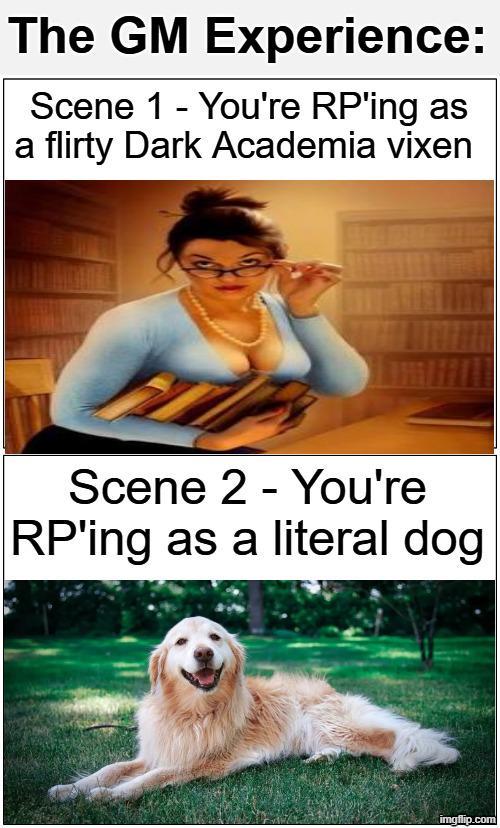 The GM Experience: Scene 1 - You're RP'ing as a flirty Dark Academia vixen Scene 2 - You're RP'ing as a literal dog imgflip.com