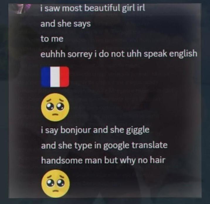 i saw most beautiful girl irl and she says to me euhhh sorrey i do not uhh speak english i say bonjour and she giggle and she type in google translate handsome man but why no hair