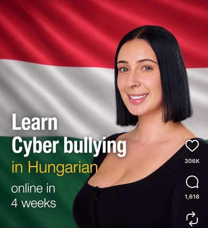 Learn Cyber bullying in Hungarian online in 4 weeks 306K 1,618