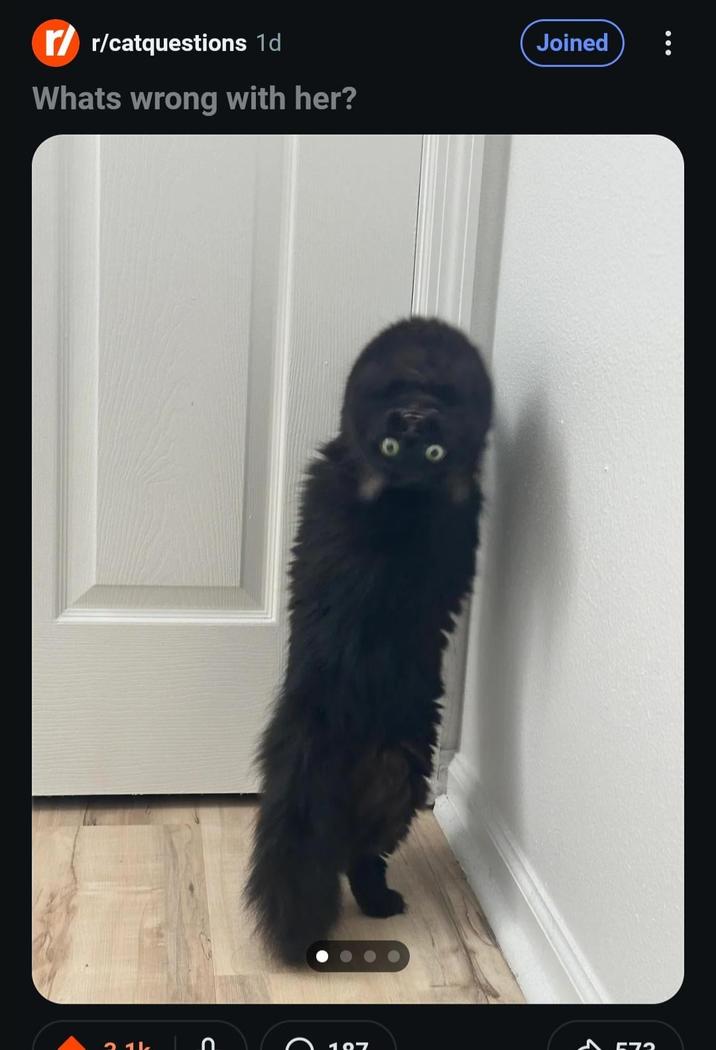 rr/catquestions 1d Whats wrong with her? 31k C Joined 187 573