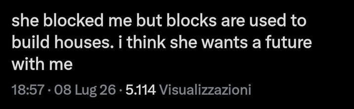 she blocked me but blocks are used to build houses. i think she wants a future with me 18:57.08 Lug 26.5.114 Visualizzazioni