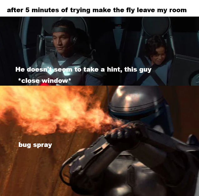 after 5 minutes of trying make the fly leave my room He doesn't seem to take a hint, this guy *close window* bug spray