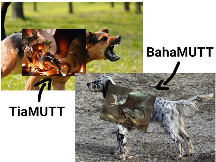 TiaMUTT 22 BahaMUTT
