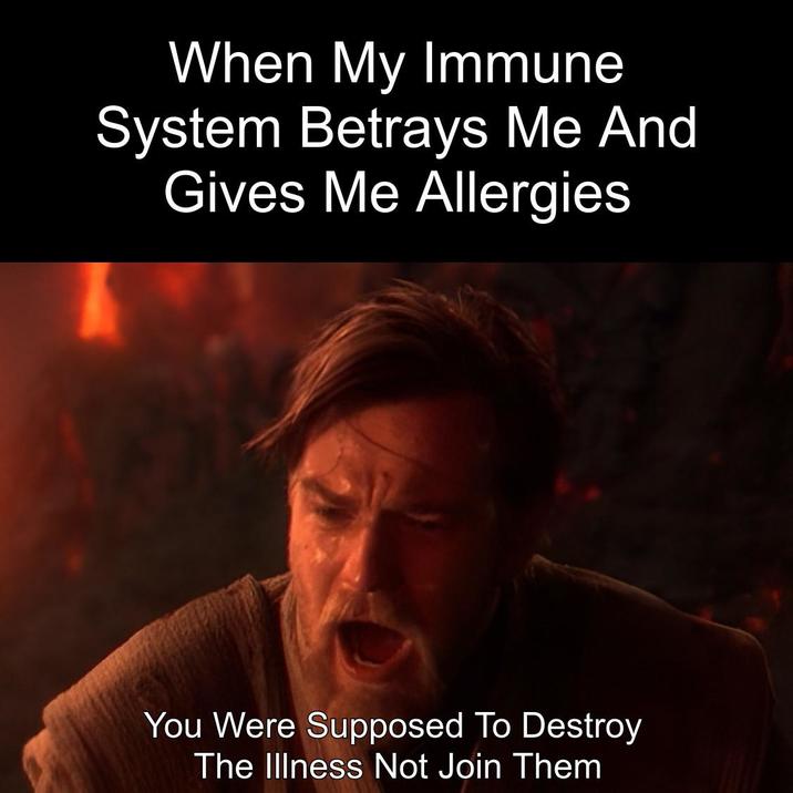 When My Immune System Betrays Me And Gives Me Allergies You Were Supposed To Destroy The Illness Not Join Them