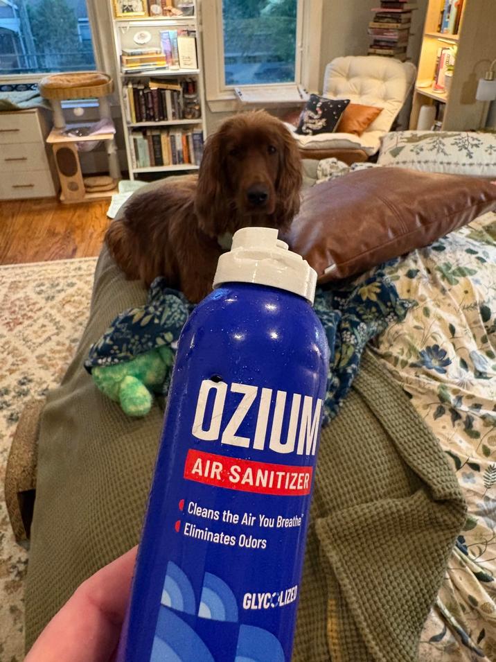 OZIUM AIR SANITIZER Cleans the Air You Breathe Eliminates Odors GLYCOLIZE
