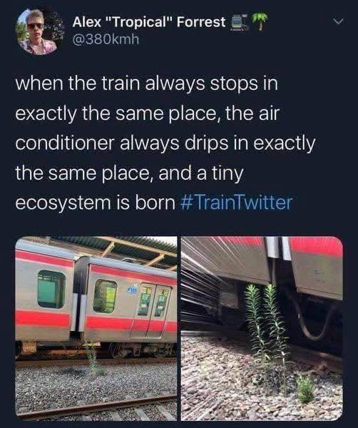 > Alex "Tropical" Forrest @380kmh when the train always stops in exactly the same place, the air conditioner always drips in exactly the same place, and a tiny ecosystem is born #TrainTwitter