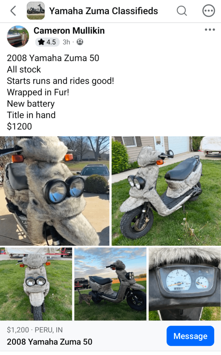 Yamaha Zuma Classifieds Cameron Mullikin 4.5 3h 8 2008 Yamaha Zuma 50 All stock Starts runs and rides good! Wrapped in Fur! New battery Title in hand $1200 10-0 40- 09699 MPH $1,200 PERU, IN Message 2008 Yamaha Zuma 50