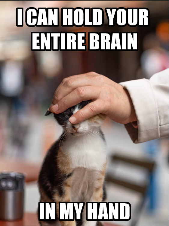 I CAN HOLD YOUR ENTIRE BRAIN IN MY HAND