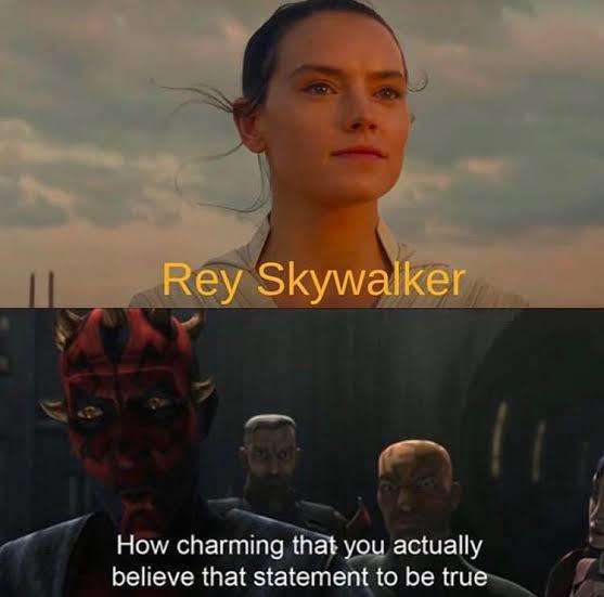 Rey Skywalker How charming that you actually believe that statement to be true