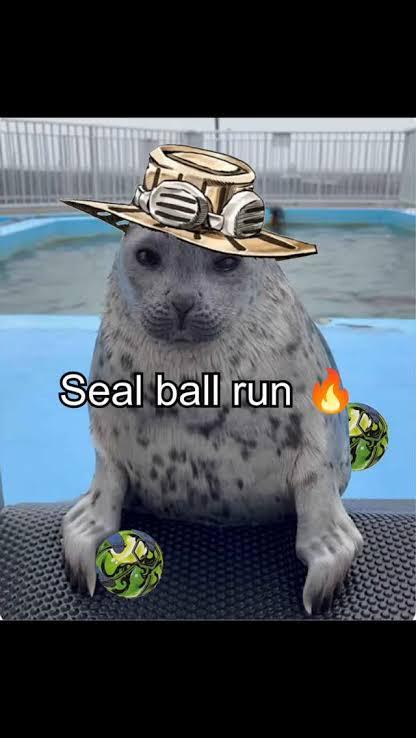 Orant Seal ball run