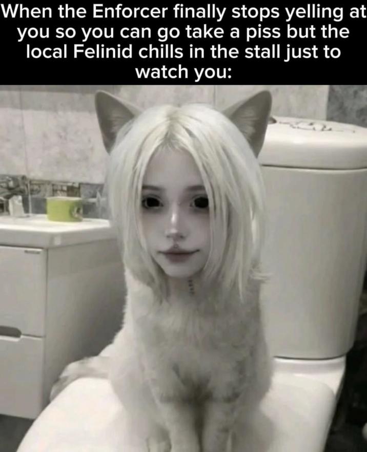 When the Enforcer finally stops yelling at you so you can go take a piss but the local Felinid chills in the stall just to watch you: