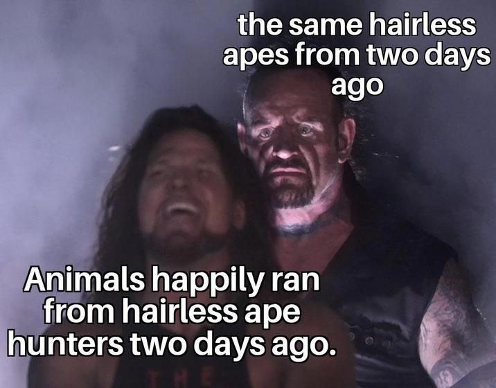 the same hairless apes from two days ago Animals happily ran from hairless ape hunters two days ago.