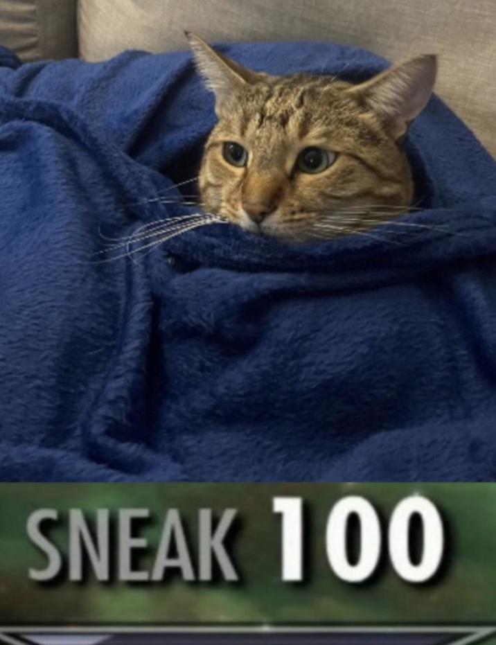 SNEAK 100