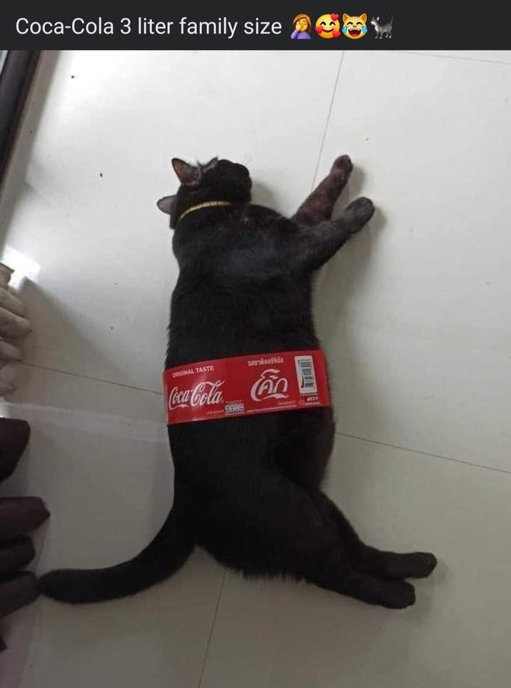 Coca-Cola 3 liter family size ORIGINAL TASTE SEUROSa Coca-Cola Cin