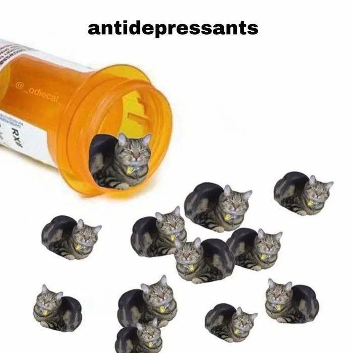 antidepressants odiecat RX