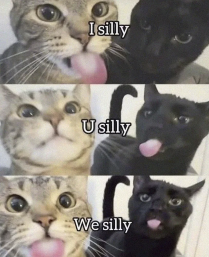 Isilly Usilly We silly