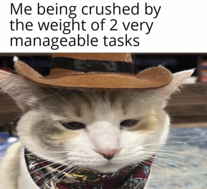 Me being crushed by the weight of 2 very manageable tasks