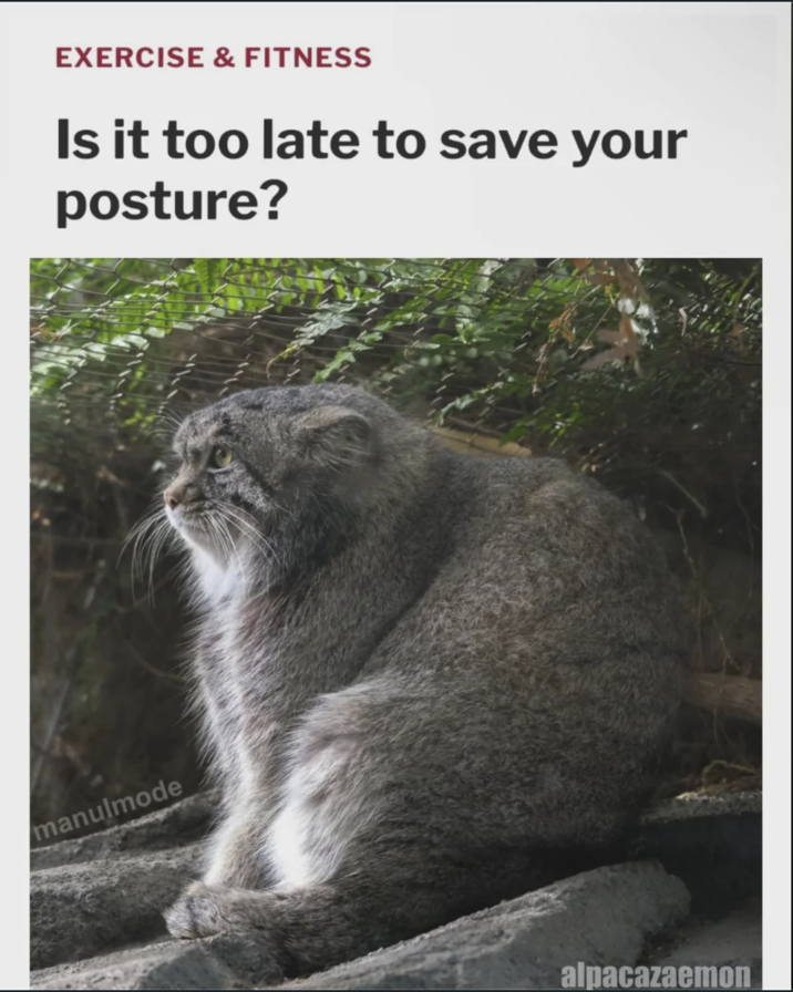 EXERCISE & FITNESS Is it too late to save your posture? manulmode alpacazaemon
