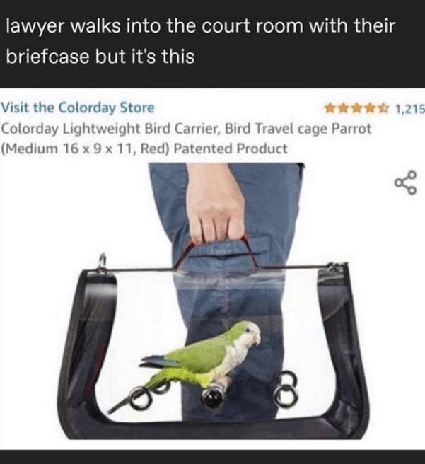 lawyer walks into the court room with their briefcase but it's this Visit the Colorday Store ✰✰✰✰✰ 1,215 Colorday Lightweight Bird Carrier, Bird Travel cage Parrot (Medium 16 x 9 x 11, Red) Patented Product 8