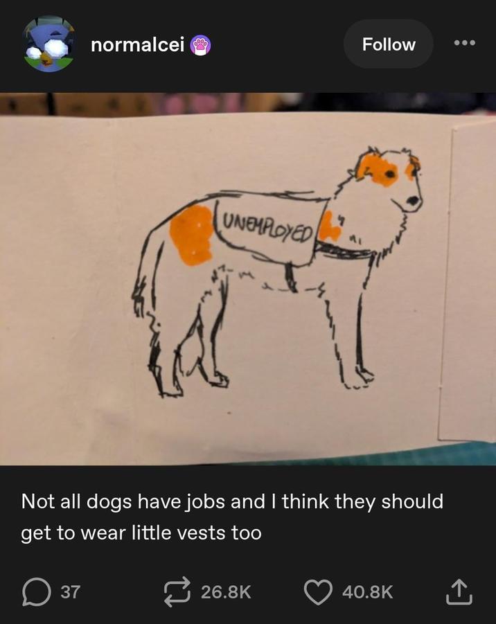 normalcei Follow UNEMPLOYED Not all dogs have jobs and I think they should get to wear little vests too ☐ 37 26.8K 40.8K