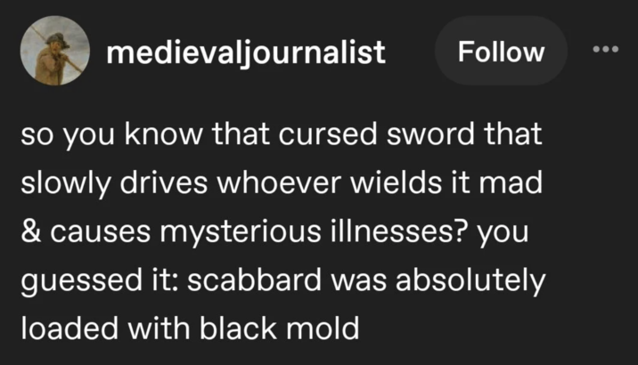 medievaljournalist Follow so you know that cursed sword that slowly drives whoever wields it mad & causes mysterious illnesses? you guessed it: scabbard was absolutely loaded with black mold