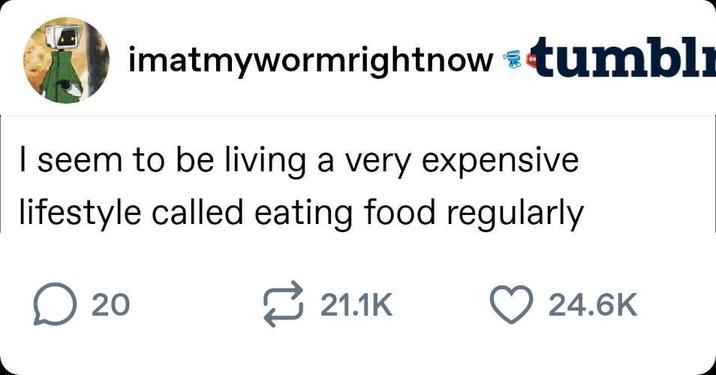 imatmywormrightnow #tumbl I seem to be living a very expensive lifestyle called eating food regularly ☐ 20 21.1K 24.6K