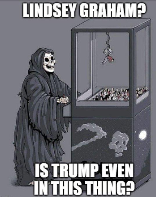 LINDSEY GRAHAM? き IS TRUMP EVEN IN THIS THING?
