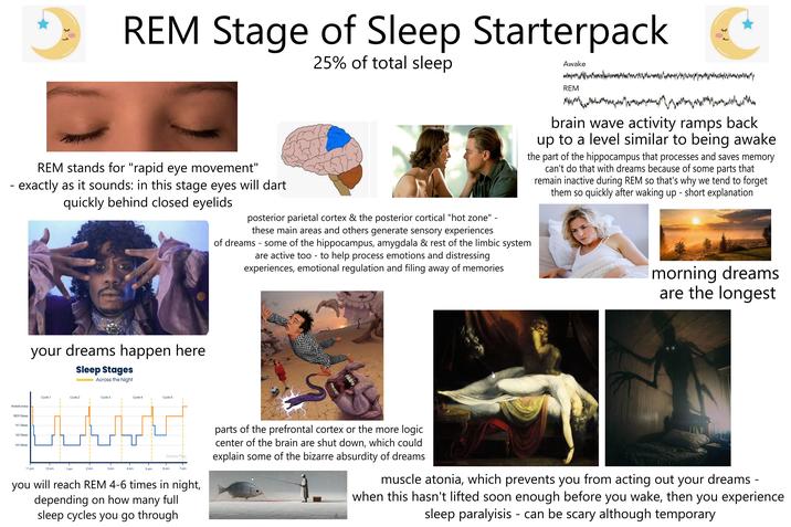 1 REM Stage of Sleep Starterpack 25% of total sleep Awake REM wwwwww REM stands for "rapid eye movement" - exactly as it sounds: in this stage eyes will dart quickly behind closed eyelids. posterior parietal cortex & the posterior cortical "hot zone" - these main areas and others generate sensory experiences of dreams - some of the hippocampus, amygdala & rest of the limbic system are active too - to help process emotions and distressing experiences, emotional regulation and filing away of memories. brain wave activity ramps back up to a level similar to being awake the part of the hippocampus that processes and saves memory can't do that with dreams because of some parts that remain inactive during REM so that's why we tend to forget them so quickly after waking up - short explanation Wakefulness your dreams happen here Sleep Stages Across the Night REM Sleep N1 Sleep N2 Sleep N3 Sleep Cycle 1 Cycle 2 Cycle 3 Cycle 4 Cycle 5 Seniors Plus 11 pm 12 am 1 am 2 am 3 am 4 am 5 am 6 am 7 am you will reach REM 4-6 times in night, depending on how many full sleep cycles you go through morning dreams are the longest S parts of the prefrontal cortex or the more logic. center of the brain are shut down, which could explain some of the bizarre absurdity of dreams muscle atonia, which prevents you from acting out your dreams - when this hasn't lifted soon enough before you wake, then you experience sleep paralyisis - can be scary although temporary