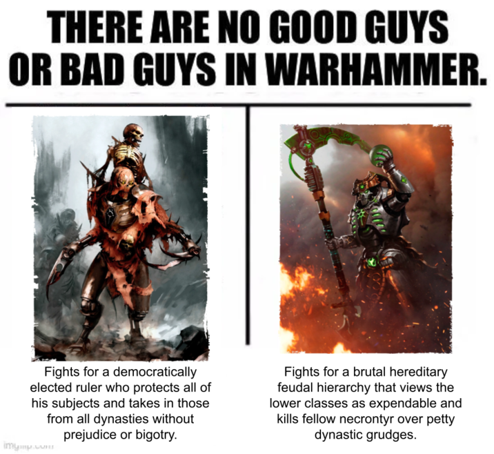 THERE ARE NO GOOD GUYS OR BAD GUYS IN WARHAMMER. Fights for a democratically elected ruler who protects all of his subjects and takes in those from all dynasties without prejudice or bigotry. imymp.com Fights for a brutal hereditary feudal hierarchy that views the lower classes as expendable and kills fellow necrontyr over petty dynastic grudges.