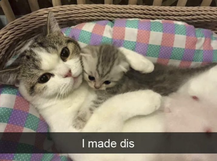 I made dis