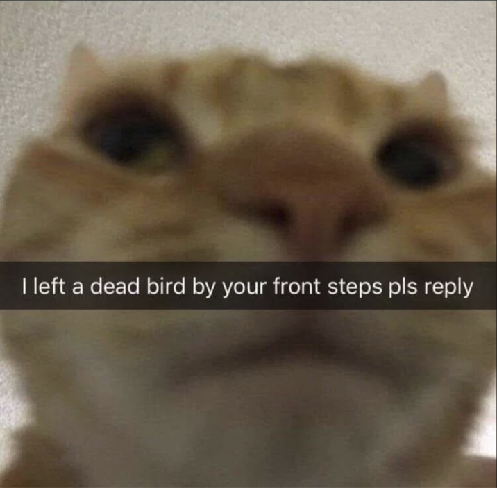 I left a dead bird by your front steps pls reply