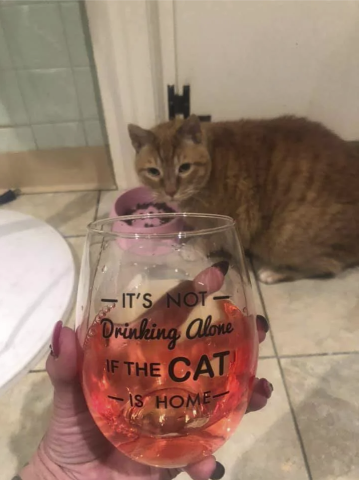 IT'S NOT- Drinking alone IF THE CAT IS HOME