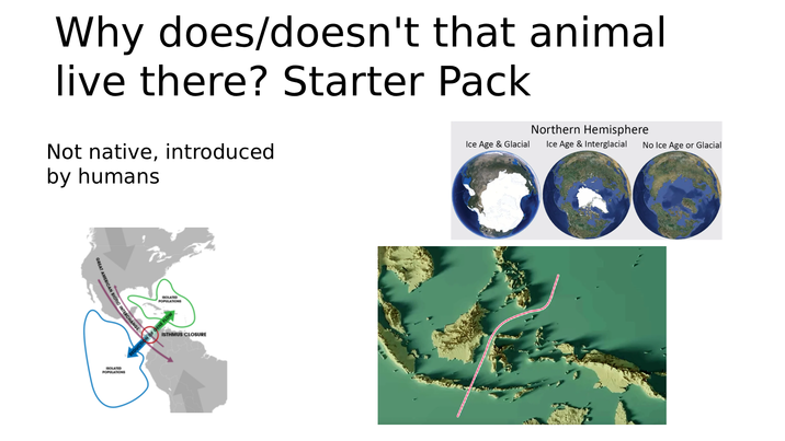Why does/doesn't that animal live there? Starter Pack Not native, introduced by humans Northern Hemisphere Ice Age & Glacial Ice Age & Interglacial No Ice Age or Glacial GREAT AMERICAN BIOTIC INTE BIOTIC INTERCHANGE ISOLATED POPULATIONS OLATED ISTHMUS CLOSURE